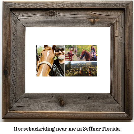 horseback riding near me in Seffner, Florida